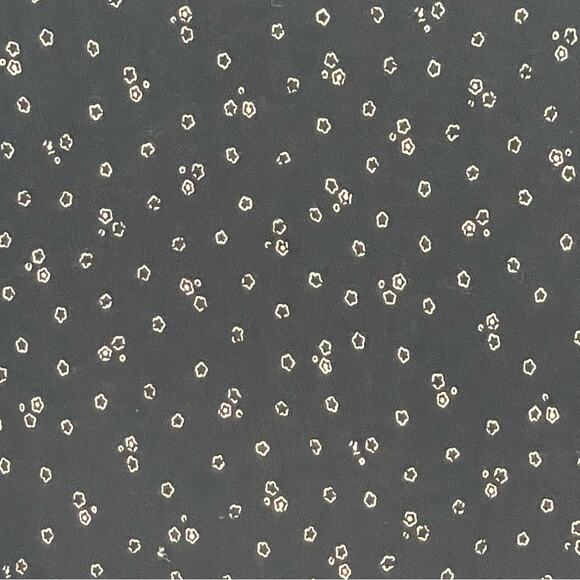 LOFT Black Sleeveless Pattern Blouse Size Medium - Picture 5 of 6